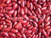 Kidney Beans