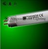 sell T5 fluorescent tube