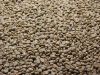 Export Coffee Beans | Arabica Coffee Beans Suppliers | Robusta Coffee Beans Exporters | Coffee Bean Traders | Wholesale Instant Coffee | Buy Coffee Beans | Bulk Coffee Bean | Green Coffee Bean Buyer | Low Price Roasted Coffee Bean | Import Coffee Bean | C