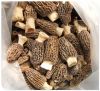 Sell Dried Morchella