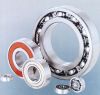 auto bearing 6204zz