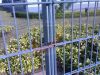 Double Wire Fencing