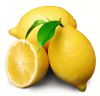 Sell Fresh Lemon