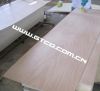 door plywood , door size plywood, door skin plywood