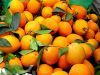 Fresh Oranges