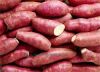 Sell sweet potatoes