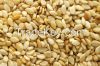 Sell Sesame Seeds