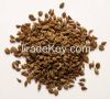 Ajwain Seeds