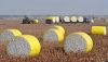 Cotton bale wrap film