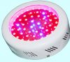 Sell 50W high power led grow light