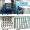 Sell egg tray making machine