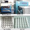 sell egg tray machine