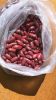 kidney Beans