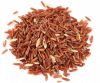 Sell Red Yeast Rice Extract Lovastatin