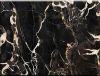 Sell Black Onyx Slabs Tiles