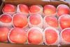 Sell red fuji apple