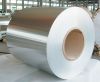 Sell DC & CC Aluminum Coil / Strip 1050, 1100,