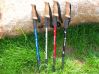 Sell aluminium nordic walking sticks