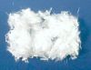 Sell Polypropylene fiber