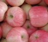 Sell red apple