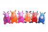 2015 hot sale inflatable animal can be customized