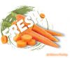 Fresh Carrots