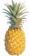 Sell golden Ripe Pineapples