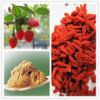 Wolfberry extract