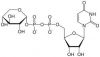 D-xylose