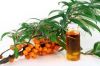 Sea Buckthorn berry oil