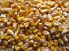 yellow corn