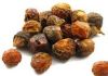 Sell Certified Organic Soapnut Shells