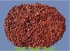 Sell wild jujube seed