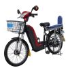 Electric Bike (TDL978EZ)