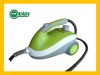 home steam cleaner machine