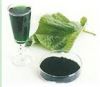 Sell Sodium Iron Chlorophyllin