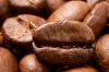 Export Coffee Beans | Arabica Coffee Beans Suppliers | Robusta Coffee Beans Exporters | Coffee Bean Traders | Wholesale Coffee Beans | Buy Coffee Beans | Bulk Coffee Bean | Green Coffee Bean Buyer | Low Price Roasted Coffee Bean | Import Coffee Bean | Cof