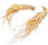 Sell Ginseng Extract