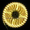 Sell most popular product LED Strip