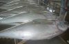 Sell Fresh Chilled Yellowfin Tuna