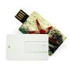 card usb flash drive(C-15)