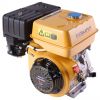 EPA CE Approval Wanhao Gasoline Engine - 9Hp (WG270)