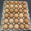 Egg tray, Egg carton, Egg Box