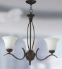 spot ceiling light, electrodeless discharges lamp, lawn lamp, lighting