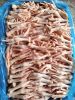 Frozen Chicken Feet