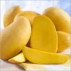 Sell Fresh Mangoes