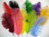 we sell color and natural ostrich feathers