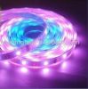 Sell DC12V SMD3528-60leds LED Flexible strip light