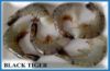 Sell Black tiger shrimp