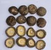 Sell dried shiitake